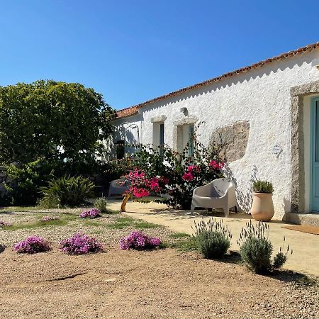 Massidda Country Retreat Villa Santa Teresa Gallura Luaran gambar